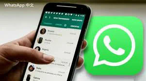 whatsapp contact number